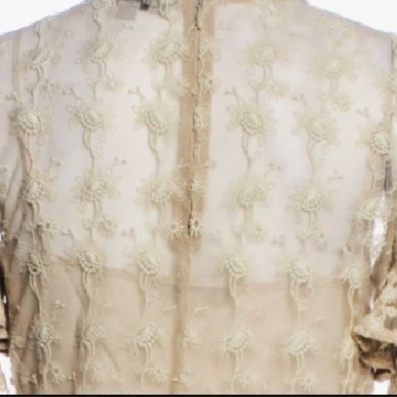 Gorgeous ALL SAINTS Party Dress Sheer Lace (Lined) Sexy Romantic $375 - Picture 8 of 9